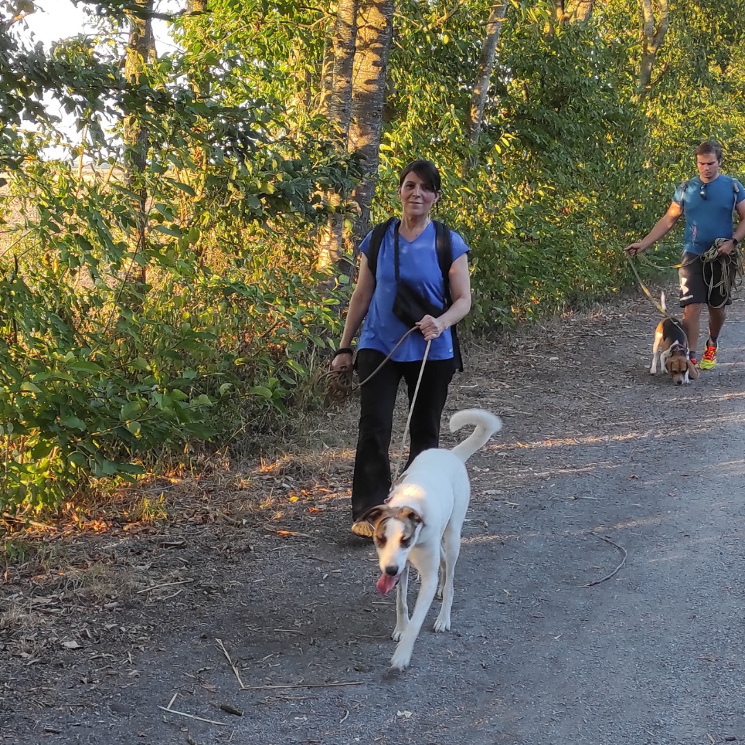 Rééducation comportementale, chien réactif congénère, chien réactif humain, chien qui détruit, chien protection de ressource, chien peur, chien phobie, chien aboiements, chien craintif, chien intenable, chien foufou.       